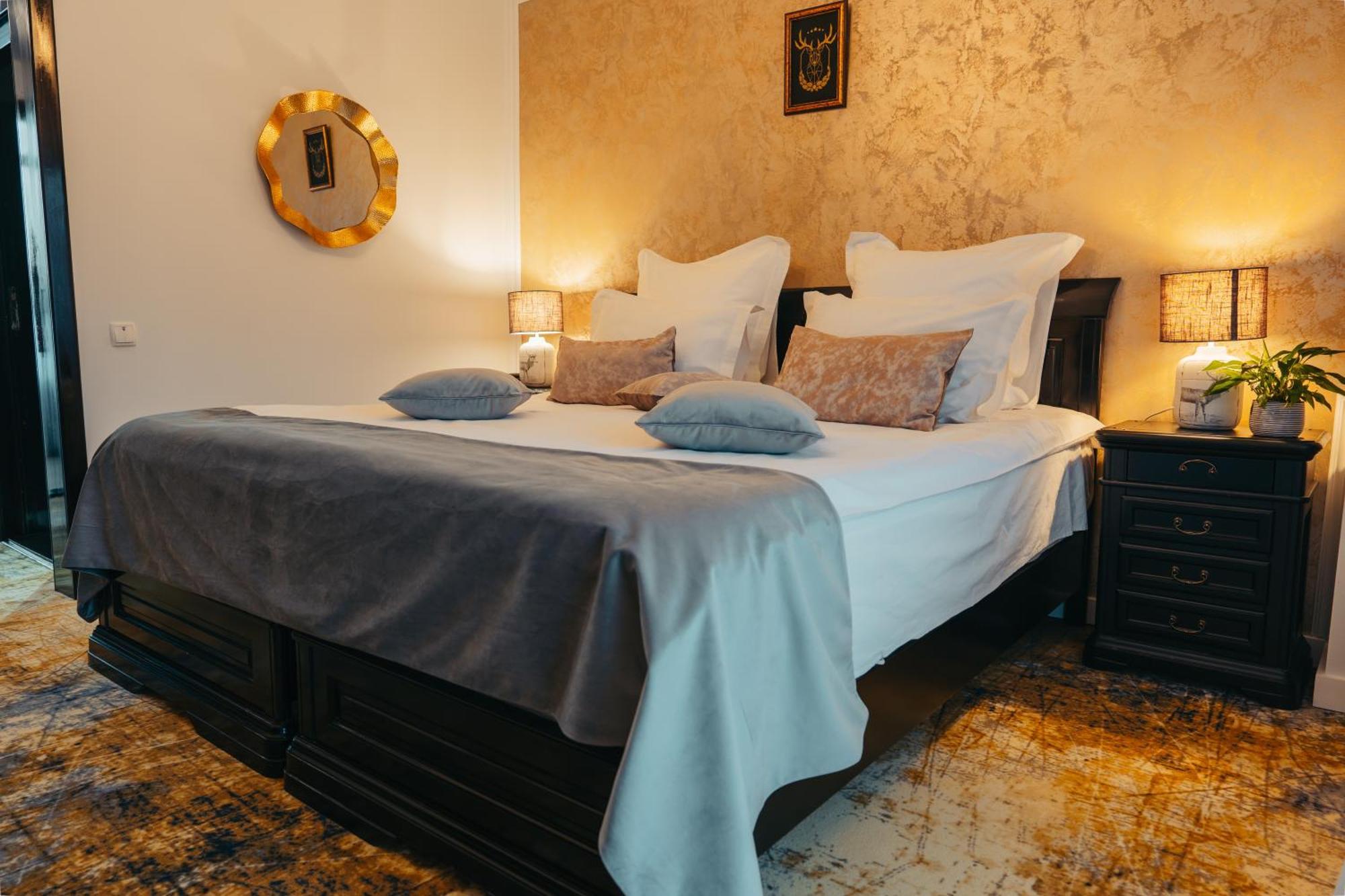 Curtea Domneasca Hotel Vaslui Luaran gambar